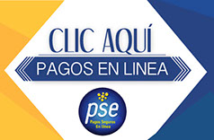 imagen pegada 800x300-crop-u55226